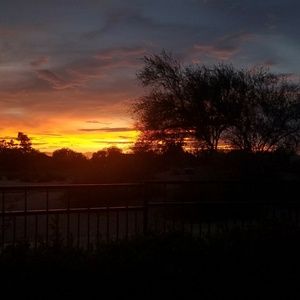 Meet your Posher, Charlotte